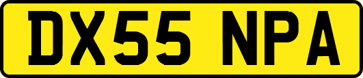 DX55NPA