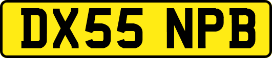 DX55NPB