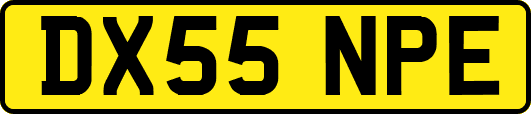 DX55NPE