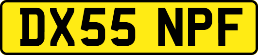 DX55NPF