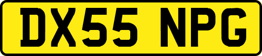 DX55NPG