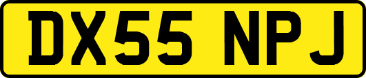 DX55NPJ