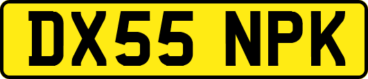 DX55NPK