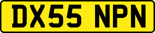 DX55NPN
