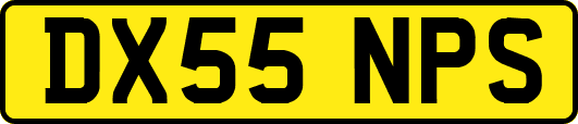 DX55NPS