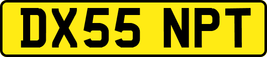 DX55NPT