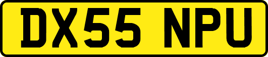 DX55NPU