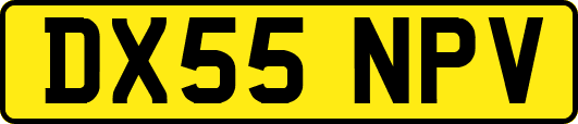 DX55NPV