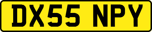 DX55NPY