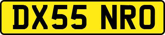DX55NRO