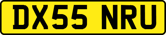 DX55NRU