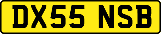 DX55NSB