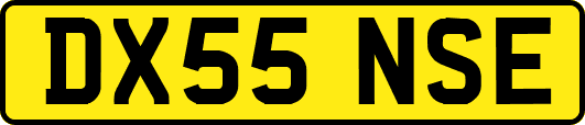 DX55NSE