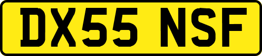 DX55NSF