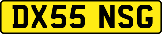 DX55NSG