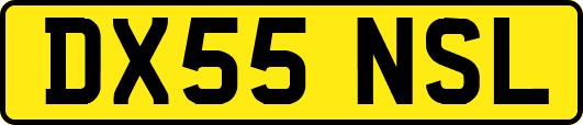 DX55NSL