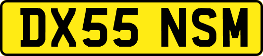 DX55NSM