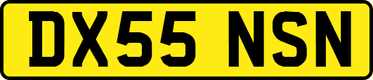 DX55NSN