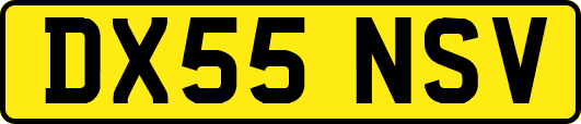 DX55NSV