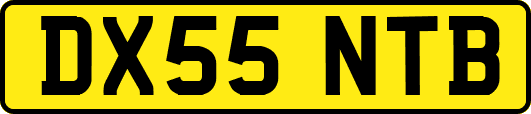 DX55NTB
