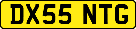 DX55NTG