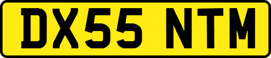 DX55NTM