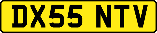 DX55NTV