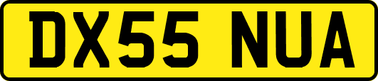 DX55NUA