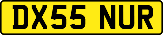 DX55NUR