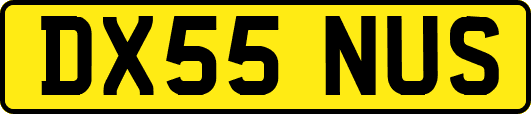 DX55NUS