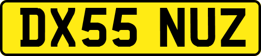 DX55NUZ