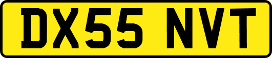 DX55NVT