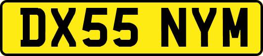 DX55NYM