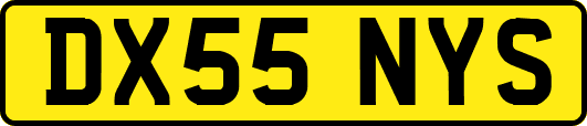 DX55NYS