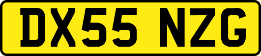 DX55NZG