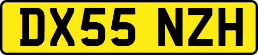 DX55NZH