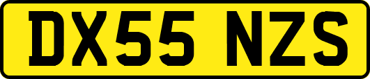 DX55NZS