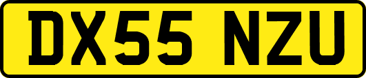DX55NZU