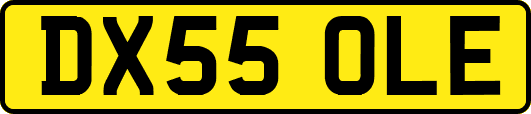 DX55OLE