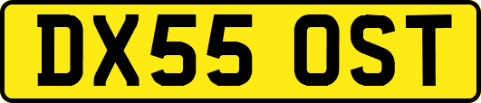 DX55OST