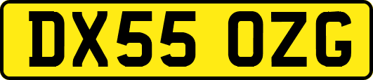 DX55OZG