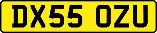 DX55OZU
