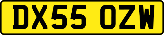 DX55OZW
