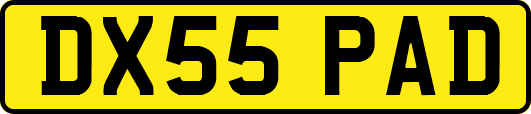 DX55PAD