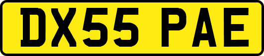 DX55PAE