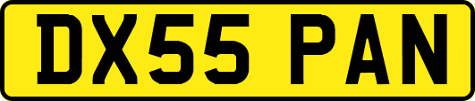 DX55PAN