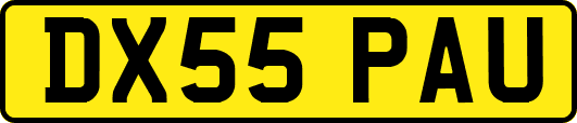 DX55PAU