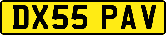 DX55PAV
