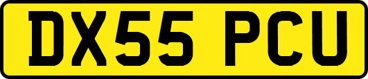 DX55PCU