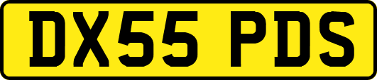 DX55PDS
